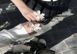 生活应该是美好而又温柔的